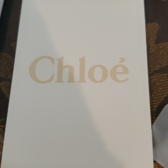 Chloe Host Pick Jan 2026 sunglasses from Chloe polarized - Picture 7 of 12